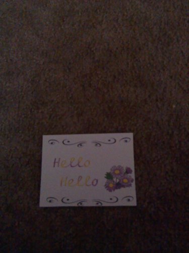 Set of 20 "Hello Hello with Daisies" Postcards
