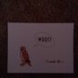 Set of 20 "Owl" Thank You Postcards