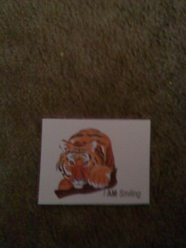 Set of 20 "I Am Smiling" Postcards