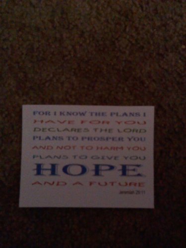 Set of 20 "Scripture Jer 29:11 word art" Postcards