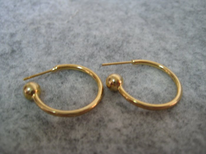Ear Wire, 20mm, 1 pair