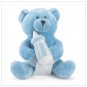 It's a Boy Message Bear