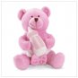 It's a Girl Message Bear