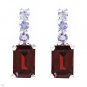 1.48ctw Genuine Tanzanites & Garnets Sterling silver earrings