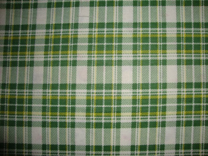 F8 Daisy Kingdom Green Yellow Plaid Cotton Flannel Fabric Fat Eighth F8th