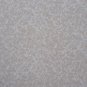 3/4 Yard Tan Feathery Leaves Allover on Cream Cotton Fabric Bolt End