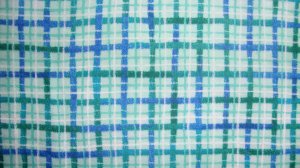 Green Blue & White Plaid Cotton Fabric Bolt End
