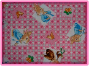 F8 Beatrix Potter Character Blocks on Pink Gingham Cotton Fabric Fat Eighth F8th