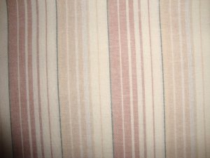 BTY RJR Thimbleberries Daisy Days Tan Stripes Fabric by Lynette Jensen By the Yard