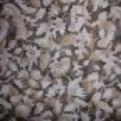 Timeless Treasures Brown Tonal Leaf Sepia Silhouettes Fabric Per Yard BTY