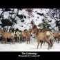 The Gathering