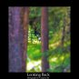 Looking Back