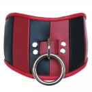 Red & Black Leather Posture Collar Med/Large