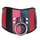 Black & Red Leather Posture Collar Sm/Med