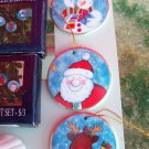 Set of 3 Hand Painted Glass Disc Ornaments