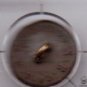 Goodyear Hard Rubber Button -- 9/16" -- 8 Pointed Star / Flower *