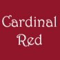 Youth Large Cardinal Red AF T-shirt