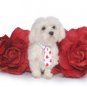 Sale Dog Fireman Gift Set and Dog Collar Medium