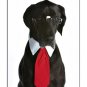 Frog - Dog Tie Gift Set and  Dog Collar Medium
