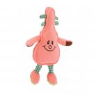 Zanies Acoustic Friends Dog Toy