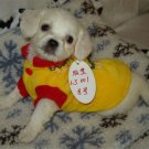 Chihuahua Dog Shirt  Small