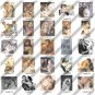 Vintage Retro 1950s Couple Images Clipart Clip Art CD