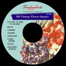 Vintage 1930s-1950s Flower Images Clipart Clip Art CD