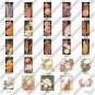 Vintage 1930s-1950s Flower Images Clipart Clip Art CD