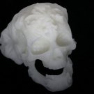 3D Printed Skull Ring DLP Resin Form2 G3D T-1000 Test Sample 3d-printing-chicago