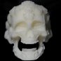 3D Printed Skull Ring DLP Resin Form2 G3D T-1000 Test Sample 3d-printing-chicago