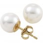 14K Yellow Gold Genuine Cultured Pearl Stud Earrings