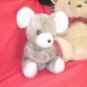Adorable Big  Earred  grey Koala Bear?