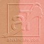 atskincare aT bronzer blush duo - two fabulous