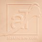 atskincare aT foundation stix - silky beige