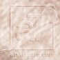 atskincare aT super silky shadow - precious frosted (refill tablet for the aT butterfly compact)
