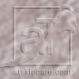 atskincare aT super silky shadow - metropolitan frosted
