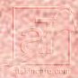 atskincare aT frosted eye shadow - tropical pink