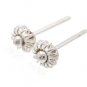 Sterling Silver Stud and Rings Earrings AESS1265