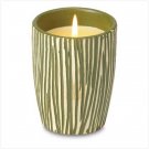#38563 Jungle Stripe Scented Candle
