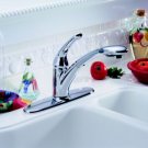 Signature Kitchen Pull-Down/Out Faucet