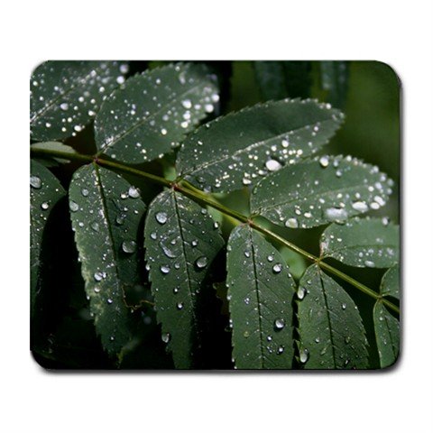 Mousepad mountain ash leaf in the rain FREE SHIPPING