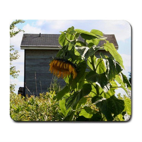 Mousepad FREE SHIPPING Giant sunflower and house