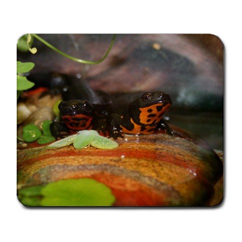 Mousepad FREE SHIPPING Power Newt and Hemi (wife) sitting on their rock together Firebelly Newts
