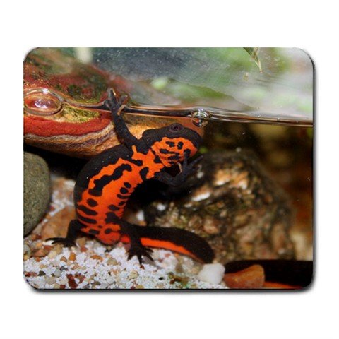 Mousepad FREE SHIPPING Power Newt Waves *hello!*