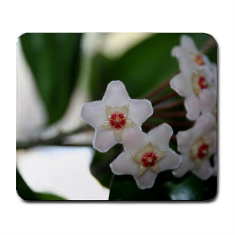 Mousepad FREE SHIPPING fuzzy neat HOYA flowers