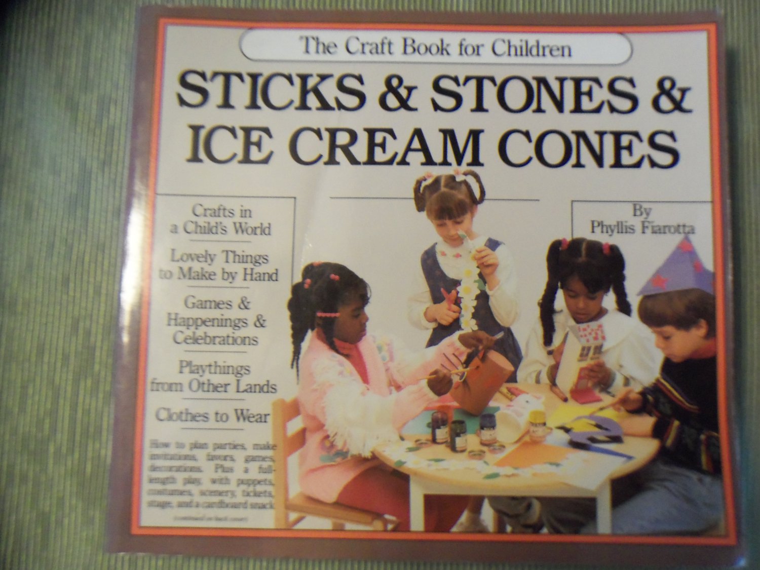 Sticks & Stones & Ice Cream Cones The Craft Book for Children Phyllis Fiarotta locationB22