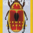 National Geographic With Pullout Poster February 2001 Volume 199 Number 2 Back Issue location32