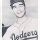 Danny Goodman