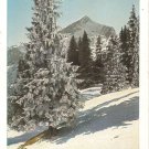 Post Card Europe Germany Die Alpspitze Wintersonne VTG