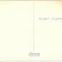 Post Card JOKE Humor Comic Do Your Cigarettes Taste Different Lately-Dog Tobacco
